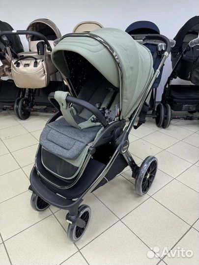 Коляска 2в1/3в1 Pituso Mayla