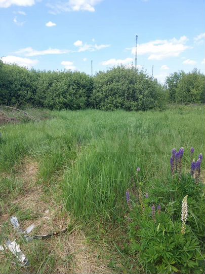 Участок 9 сот. (СНТ, ДНП)