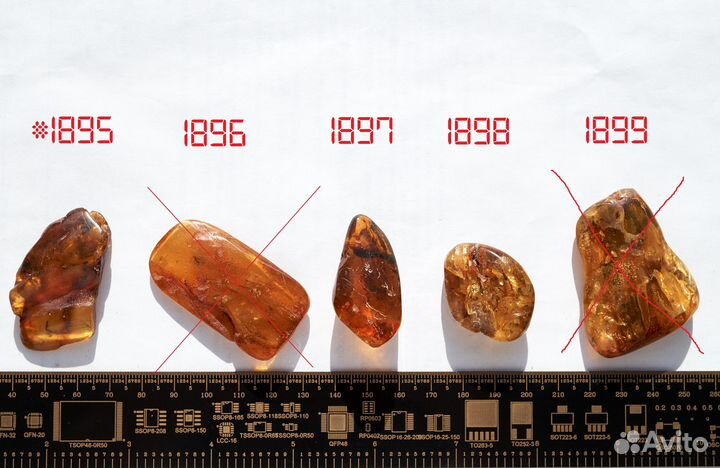 Натуральный балтийский янтарь с включением за 350р