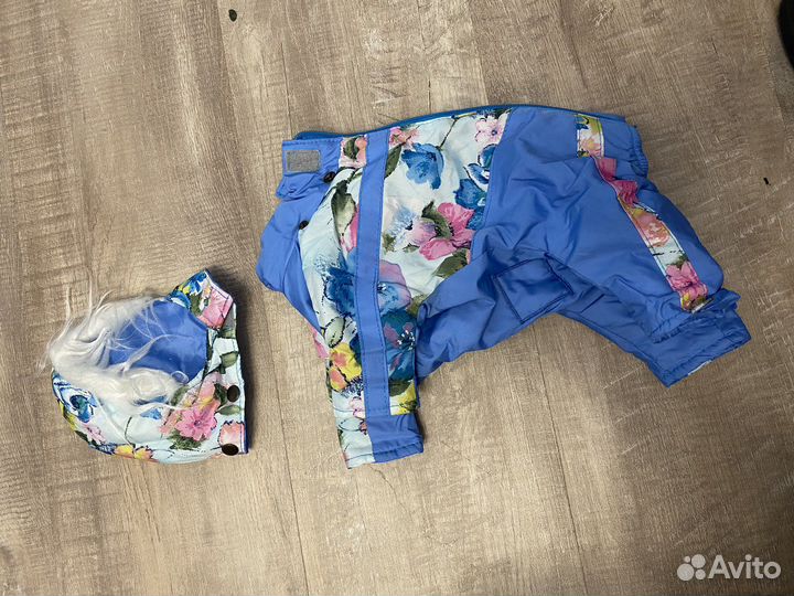 Одежда для маленькой собаки, сумка слинг