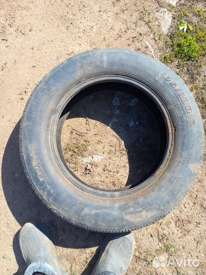 Шина на Ниву R16