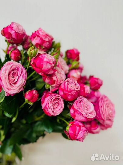 Кустовые розы оптом