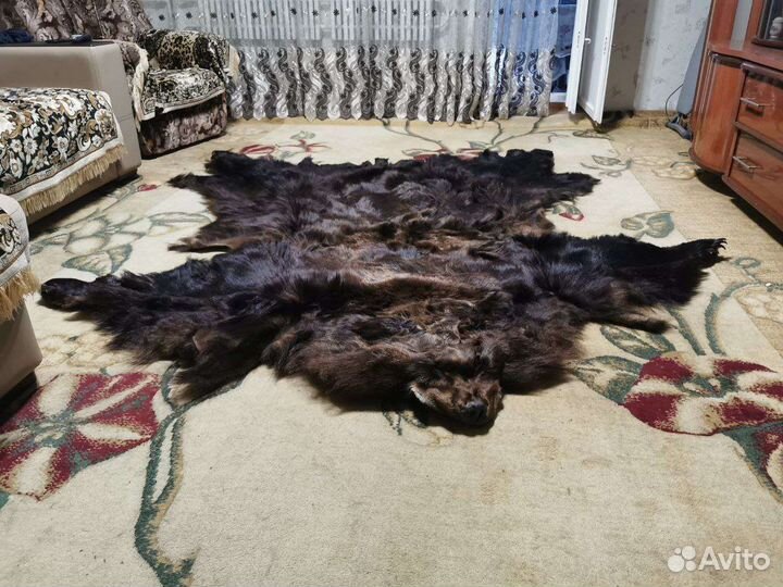 Шкура медведя натуральная
