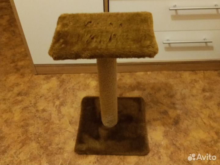 Кошачий набор