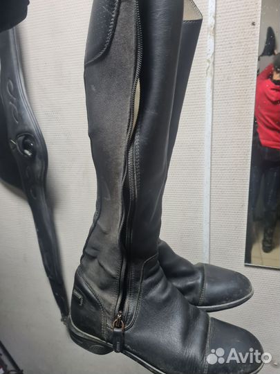 Сапоги для конного спорта