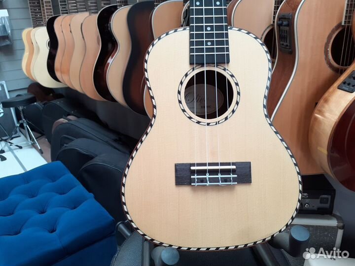 Укулеле концерт