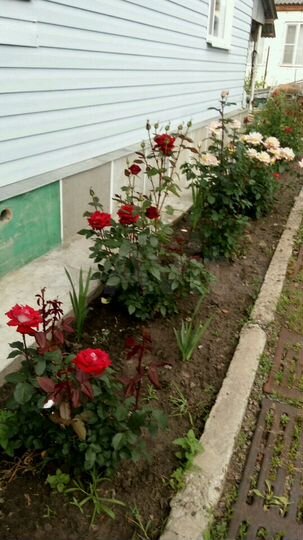 Дом 157 м² на участке 10 сот.