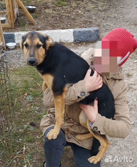 Молоденькая девочка в приюте