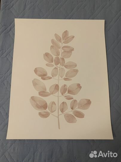 Постеры 2шт,размер 40на 50 см