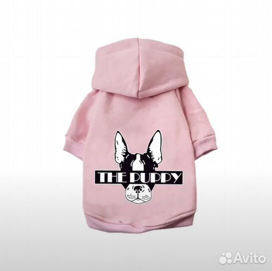 Одежда и акссесуары для собак