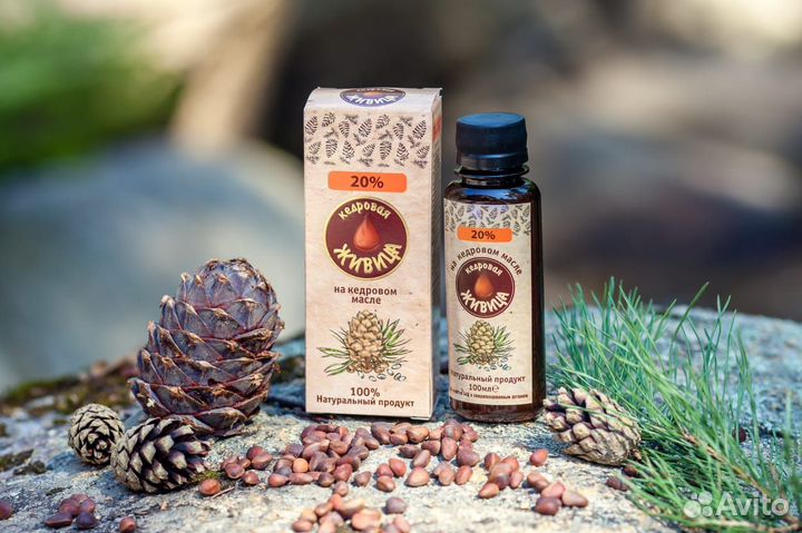 Живица кедровая с Горного Алтая