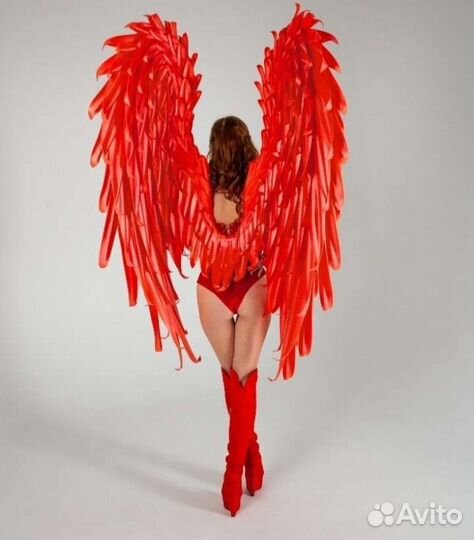 Красные Крылья Ангела,Прокат