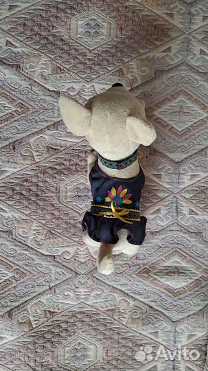 Игрушка чихуахуа 