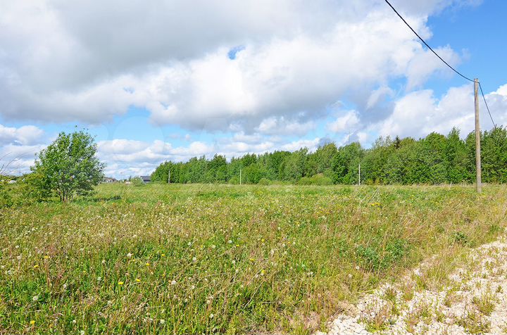 Участок 15,5 сот. (СНТ, ДНП)