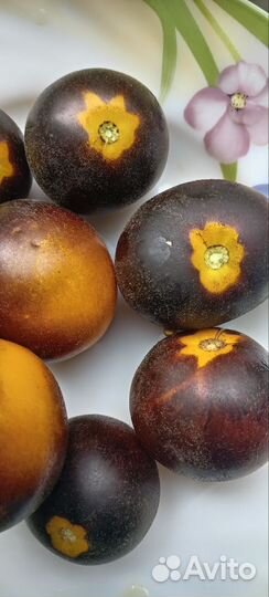 Семена сортового томата Бархатная Катя в желтом