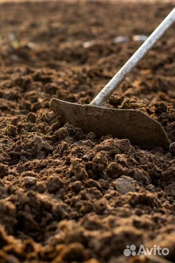 Купить доставку грунта и навоза