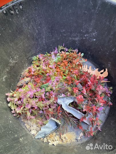 Аксессуары для аквариума