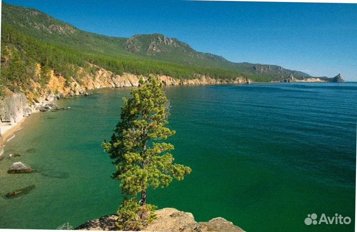 Тур авторский на Байкал лето 4-8 дн