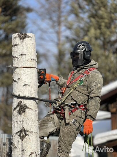 Спилить дерево