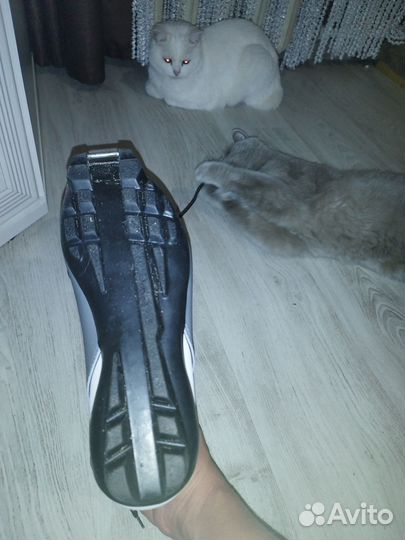 Лыжные ботинки