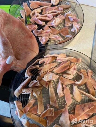 Мясо корм собакам говядина субпродукты обрезь