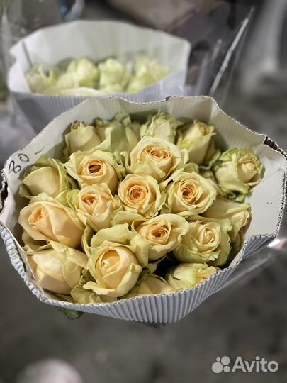 Живые цветы букеты розы