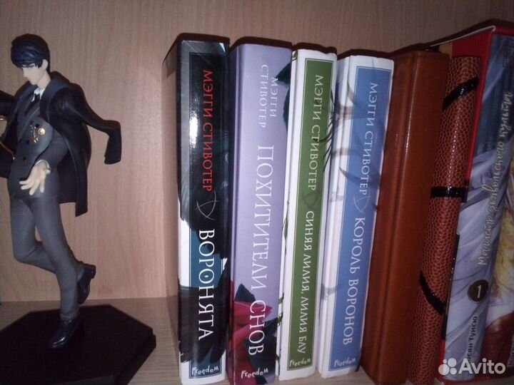 Мэгги Стивотер 