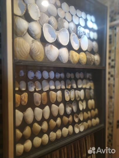 Коробки для коллекций