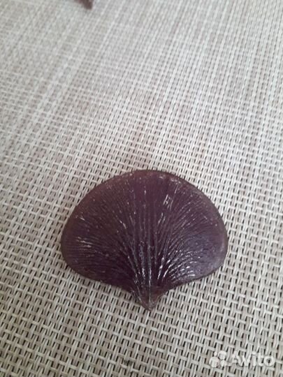 Молды для хобби и творчества