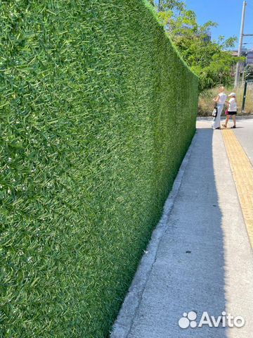 Живая Изгородь/Зеленый забор