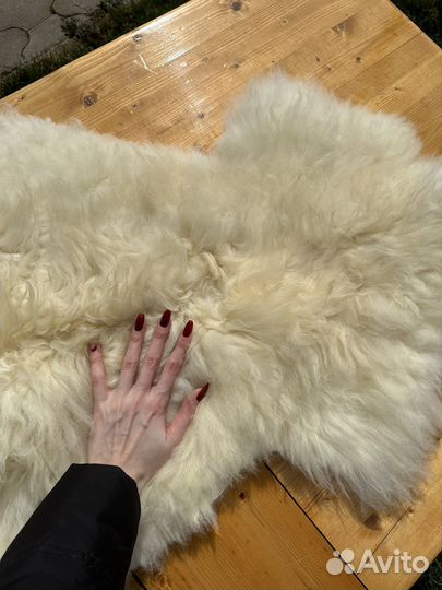 Овечьи шкуры белые не стриженные