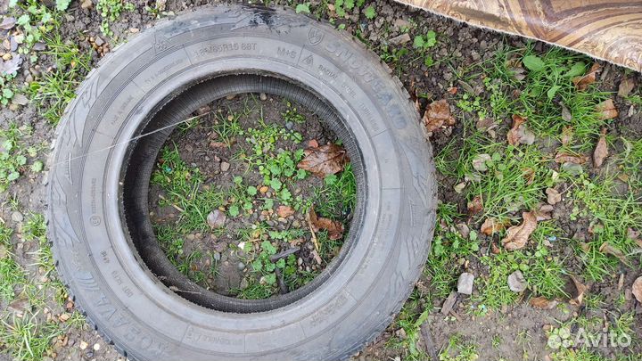 Rosava BC-52 Winter Sprint 185/65 R15