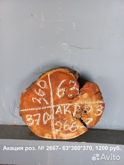 Спилы слэбы дерева карагач дуб ясень орех