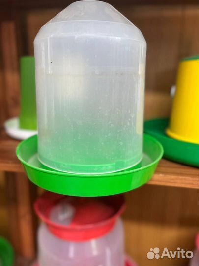 Поилки для цыплят, утят и другой взрослый птицы