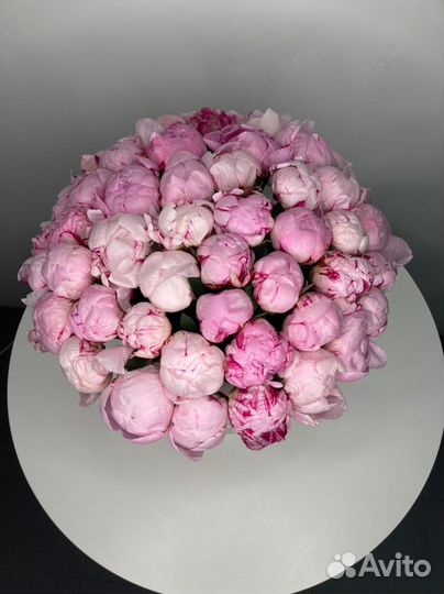Пионы Букет пионов 7 11 15 19 21