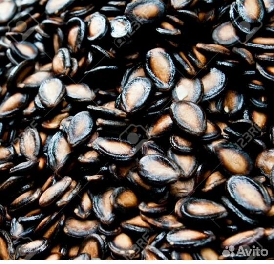 Семена арбуза