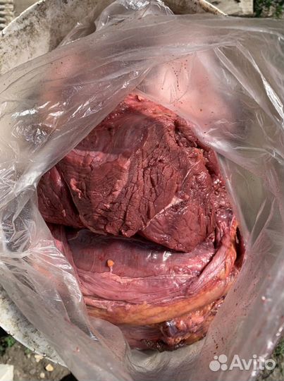 Мясо, рубец