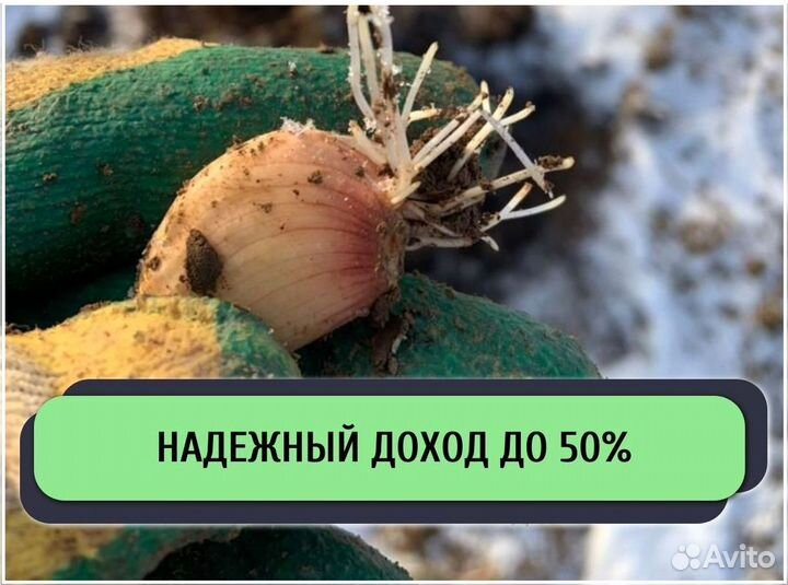 Инвестиции в готовый бизнес / Доход до 50% годовых