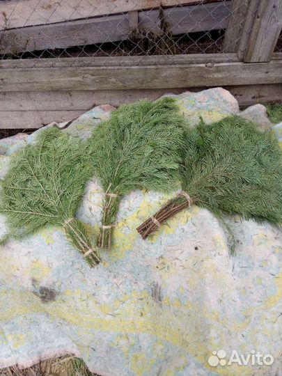 Веники пихтовый и можжевельника