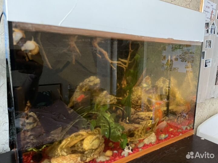 Аквариум с фильтром, рыбками и украшениями