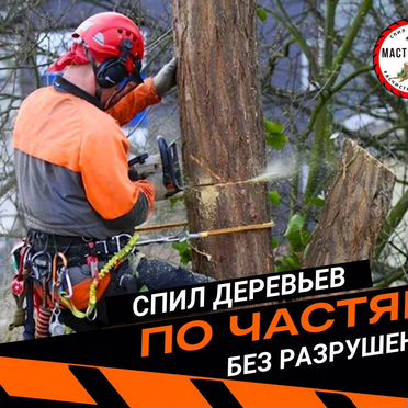 Спил деревьев / расчистка участка
