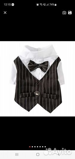 Новый костюм для собак