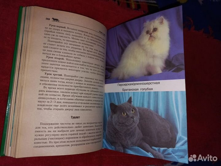 Книга о кошках