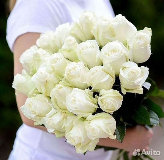 Розы Высокие Розы Гиганты Доставка Москва