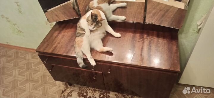 Зеркало трельяж