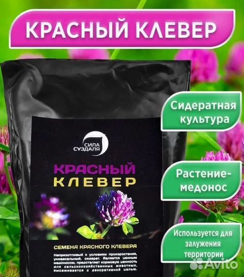 Клевер красный сидерат