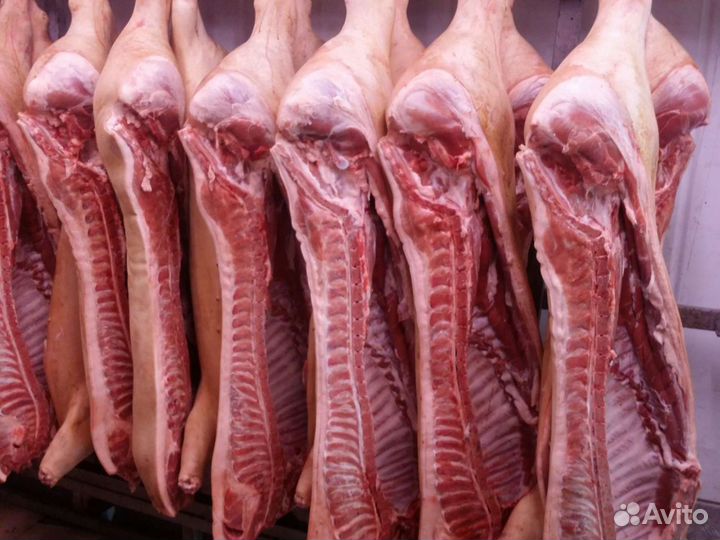 Мясо Свинина / говядина / баранина