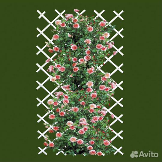 Шпалера садовая пвх 1*3 м