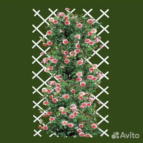 Шпалера садовая пвх 1*3 м