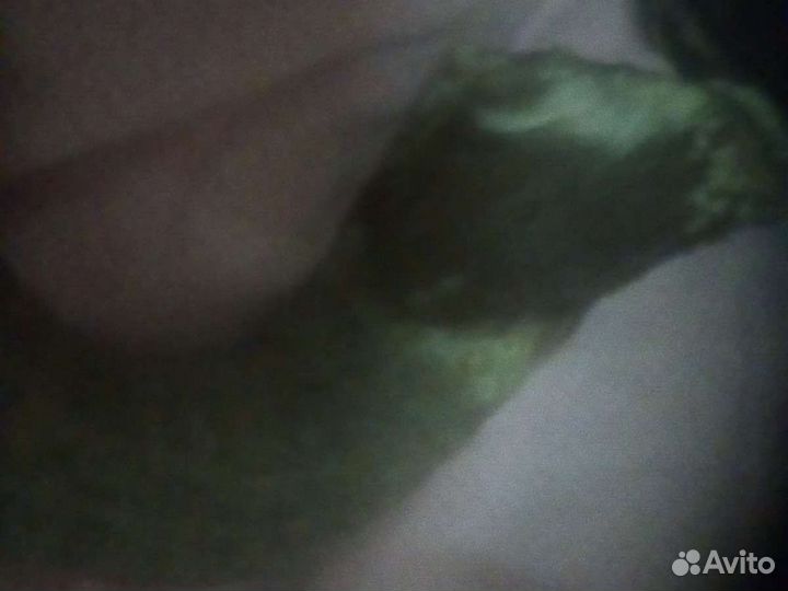 Рог животного